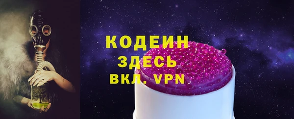 индика Анива