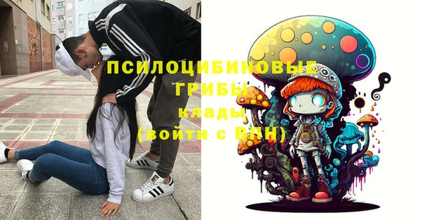 a pvp Богородск