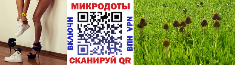 Псилоцибиновые грибы MAGIC MUSHROOMS  blacksprut онион  Высоцк 