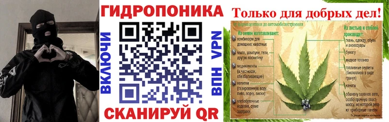 наркошоп  Высоцк  Марихуана планчик 